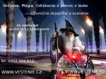 Vestec Mag Liecitel